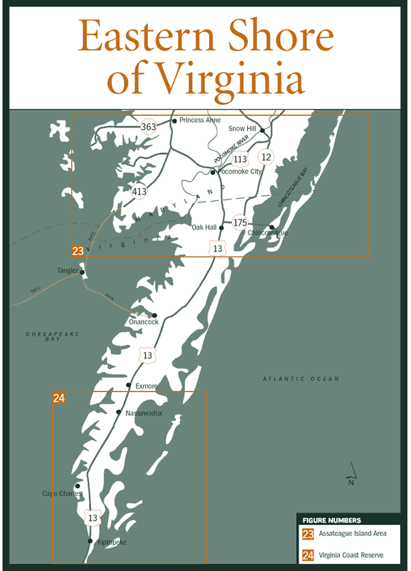 Eastern Shore Of Virginia Large 