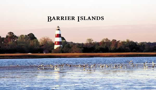 The Natural Georgia Series: Barrier Islands. Photo by Richard T. Bryant. Email richard_t_bryant@mindspring.com.