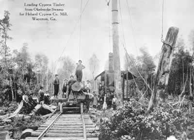The logging operation of the Hebard Lumber Company in the Okefenokee Swamp.