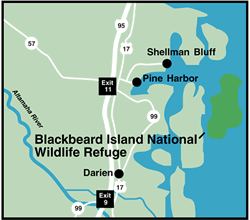 Blackbeard Island Georgia
