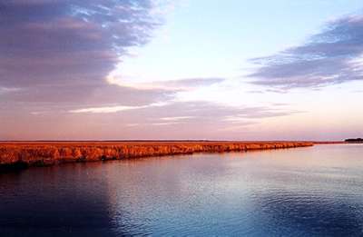 A picture of Redbird Creek from the dock at Fort McAllister State Park.