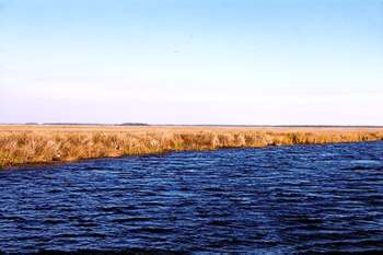 another angle of Redbird Creek