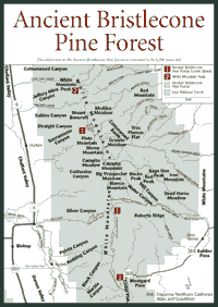 Click here for a new window with a large version of this map.