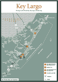 Click here for a new window with a larger version of this map.