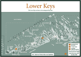 Click here for a new window with a larger version of this map.