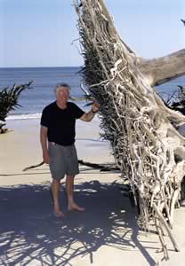 Taylor Schoettle on Blackbeard Island's boneyard beach. Photo by Richard T. Bryant. Email richard_t_bryant@mindspring.com.