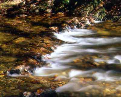 The Chattahoochee River travels 546 miles from the mountains to the sea, providing drinking water to over half of Georgia and recreation for more than 25 million Americans. Photo by Richard T. Bryant. Email richard_t_bryant@mindspring.com