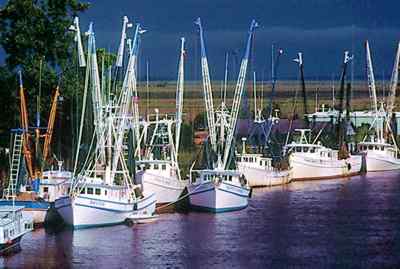 Shrimp boats work the offshore waters of the Georgia coast.