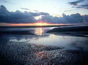 Sapelo Island.