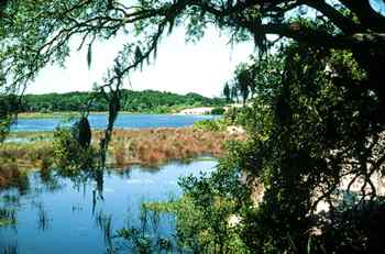 A typical coastal scene.