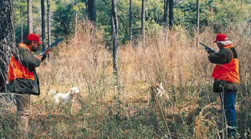 Many landowners restore the longleaf pine-wiregrass ecosystem for aesthetics and conservation and because it is prime habitat for the game species quail. Photo by Richard T. Bryant. Email richard_t_bryant@mindspring.com