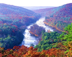 The view of the Flint River from Sprewell Bluff near Thomaston. Photo by Richard T. Bryant. Email richard_t_bryant@mindspring.com
