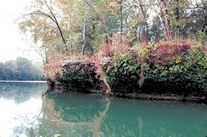 Between Albany and Bainbridge, the lower section of the Flint has eroded well into the Ocala limestone that is typical of the Dougherty Plain physiographic district. Photo by Richard T. Bryant. Email richard_t_bryant@mindspring.com