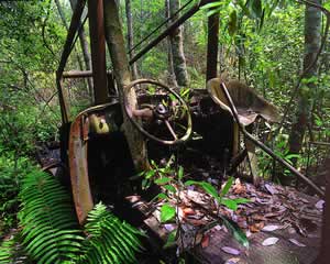 Remnants of the railroad near the Kingfisher Landing.