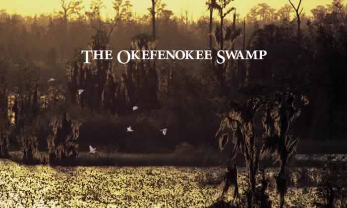 Click to read The Okefenokee Swamp.