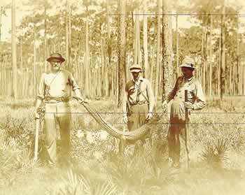 Gator hunters, circa 1912, display their prize.