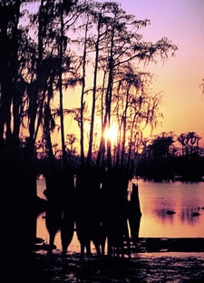 Banks Lake National Wildlife Refuge.  Photo by Richard T. Bryant.  Email richard_T_Bryant@mindspring.com