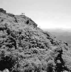 Hikers on Grandfather Mountain