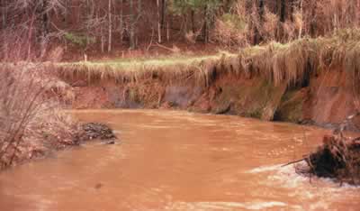 Figure 20. Bank-cuttting and heavy sedimentation during a period of high runoff at a site on Mountain Creek at the confluence of Padgett and Town creeks, Pickens County, GA (photograph by S. J. Walsh).